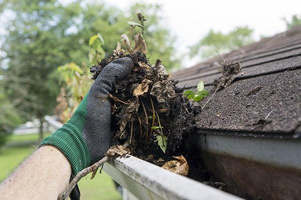 we take precautions to prevent damage to your landscaping during gutter cleaning